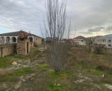 novxanida torpaq satilir Novxanı, Abşeron r.