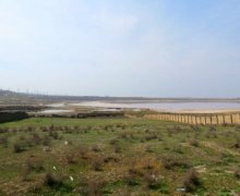 novxanida torpaq satilir Novxanı, Abşeron r.