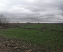 xacmazda torpaq alqi satqisi Xaçmaz ş.