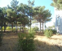 elanlari alqi satqisi elanlari Qara Qarayev m., Bakıxanov qəs., Sabunçu r.