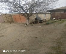 Kirayə (aylıq) Bağ evi Sumqayıt ş. Kirayə (aylıq) Bağ evi Sumqayıt ş.