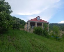 Kirayə (günlük) Bağ evi Şamaxı ş.