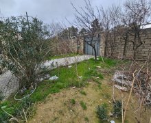 elanlari alqi satqisi elanlari Qara Qarayev m., Nizami r.