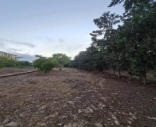 Satılır Torpaq Mərdəkan, Xəzər r.