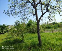 Продажа Дома/Виллы Хачмаз г.