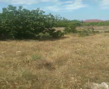 rayonlarda torpaq alqi satqisi Fatmayi, Abşeron r.