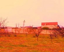 xirdalanda torpaq Xırdalan ş.