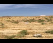 sarayda torpaq satilir Saray, Abşeron r. sarayda torpaq satilir Saray, Abşeron r.