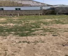 elanlari alqi satqisi elanlari Suraxanı r.