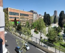 Kirayə (aylıq) Yeni Tikili Sahil m., Səbail r.