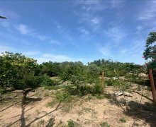 Satılır Torpaq Şüvəlan, Xəzər r.