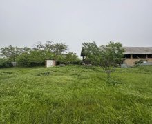 ismayillida torpaq alqi satqisi İsmayıllı ş.