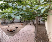 Satılır Həyət evi/villa Xətai r.