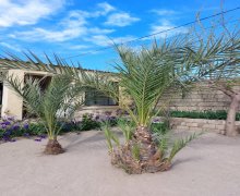 Satılır Həyət evi/villa Bilgəh qəs., Sabunçu r.