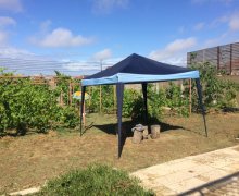 Satılır Bağ evi Nardaran qəs., Sea Breeze, Sabunçu r.