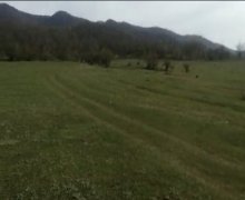 Satılır Torpaq Qusar ş.