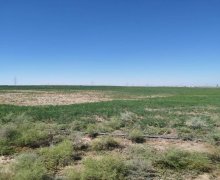 qurd deresi torpaq alqi satqisi Sumqayıt ş.