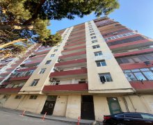 hezi aslanovda yeni tikililer Həzi Aslanov m., H.Aslanov qəs., Xətai r.