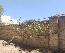 Kirayə (aylıq) Həyət evi/villa İçərişəhər m., 20-ci sahə, Səbail r.