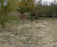 qurd deresi torpaq alqi satqisi Sumqayıt ş.