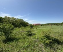 ismayillida torpaq alqi satqisi İsmayıllı ş.