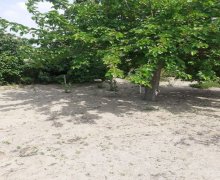 qurd deresi torpaq alqi satqisi Sumqayıt ş.