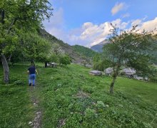 Satılır Torpaq Qəbələ ş.