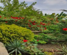 xezer rayonunda aylıq kiraye ev/villa Buzovna, Xəzər r.