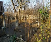 Satılır Həyət evi/villa Sabirabad ş.