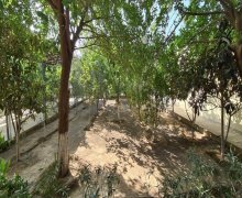 Satılır Torpaq Mərdəkan, Xəzər r.