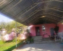 Kirayə (aylıq) Həyət evi/villa Qəbələ ş.