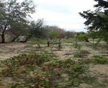 rayonlarda torpaq alqi satqisi Goradil, Abşeron r.