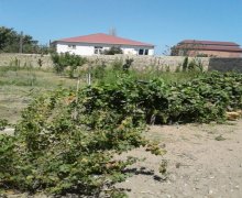 Satılır Bağ evi Sumqayıt ş.