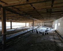 Satılır Obyekt Bahar qəs., Suraxanı r.