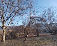 Satılır Torpaq Qəbələ ş.