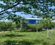 ismayilli günlük kiraye evler/villa İsmayıllı ş. ismayilli günlük kiraye evler/villa İsmayıllı ş.