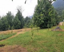 Satılır Torpaq Qəbələ ş.