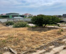 novxanida torpaq satilir Novxanı, Abşeron r.