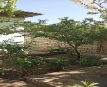 Satılır Həyət evi/villa Qaraçuxur qəs., Suraxanı r.