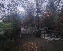 elanlari alqi satqisi elanlari Qara Qarayev m., Xətai r.