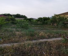 novxanida torpaq satilir Novxanı, Abşeron r.