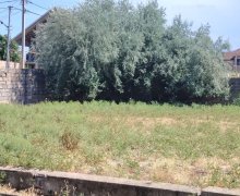 Satılır Torpaq Masazır, Abşeron r.