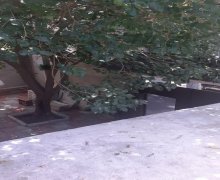 Satılır Həyət evi/villa Avtovağzal m., Biləcəri qəs., Binəqədi r. Satılır Həyət evi/villa Avtovağzal m., Biləcəri qəs., Binəqədi r.