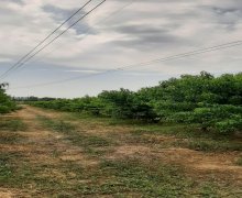 Satılır Torpaq Qusar ş.