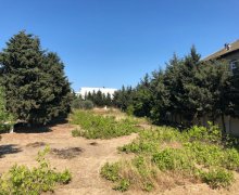 elanlari alqi satqisi elanlari Bilgəh qəs., Sabunçu r.