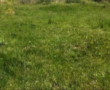 qubada torpaq satilir Quba ş.