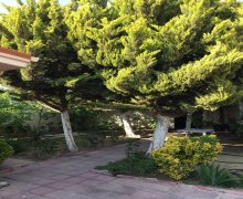 Satılır Bağ evi Azadlıq m., Pirşağı qəs., Sabunçu r.