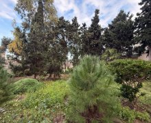 Satılır Torpaq Mərdəkan, Xəzər r.