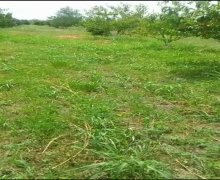 xacmazda torpaq alqi satqisi Xaçmaz ş.