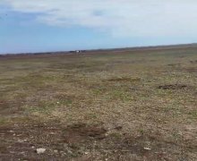 Satılır Torpaq Qusar ş.